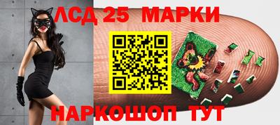 индика Пенза