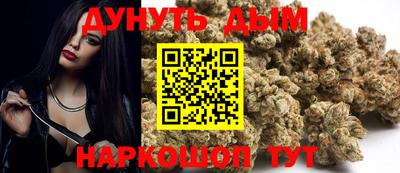 индика Пенза