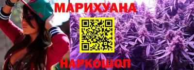 индика Пенза