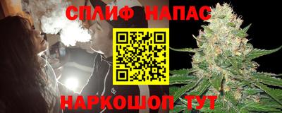 индика Пенза