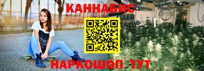 индика Пенза
