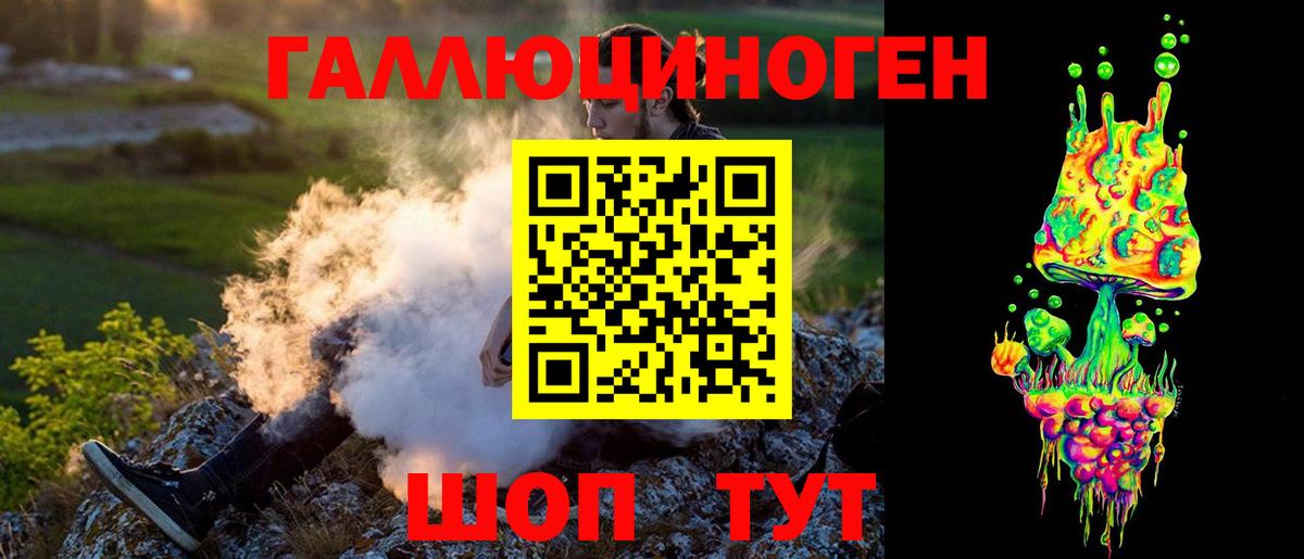 Псилоцибиновые грибы мицелий Сочи
