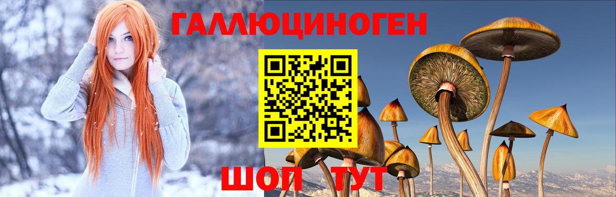 Галлюциногенные грибы Psilocybe  Вход с VPN  Сочи 
